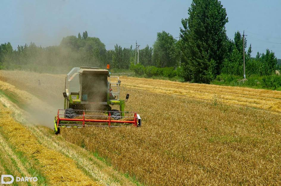 O‘zbekistonda ayrim yosh agronomlarga 2 ming dollardan oylik to‘lanadi