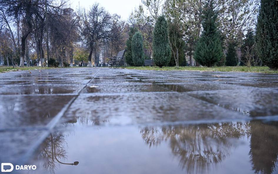 O‘zbekistonning ayrim hududlarida 12-dekabrda yomg‘ir yog‘adi
