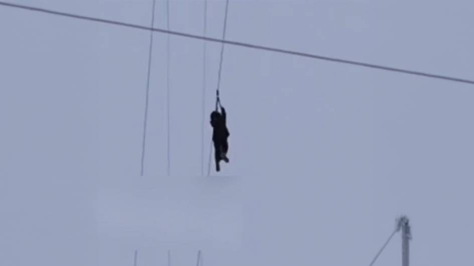 Қамчиқ довонидаги канатдан қулаб тушган қиз ҳақида маълумот берилди