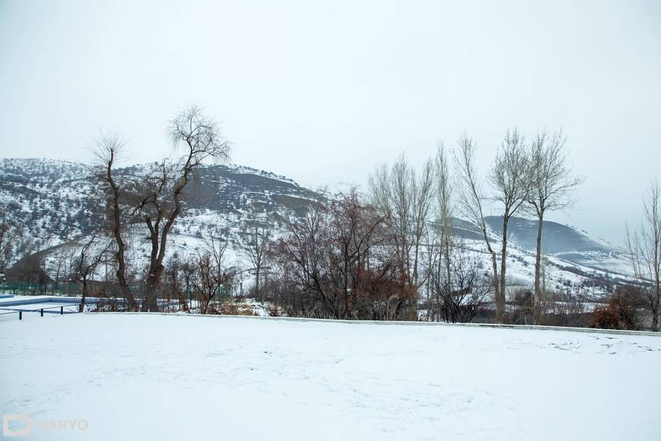 O‘zbekistonning ayrim hududlarida 14-dekabrda qor yog‘adi