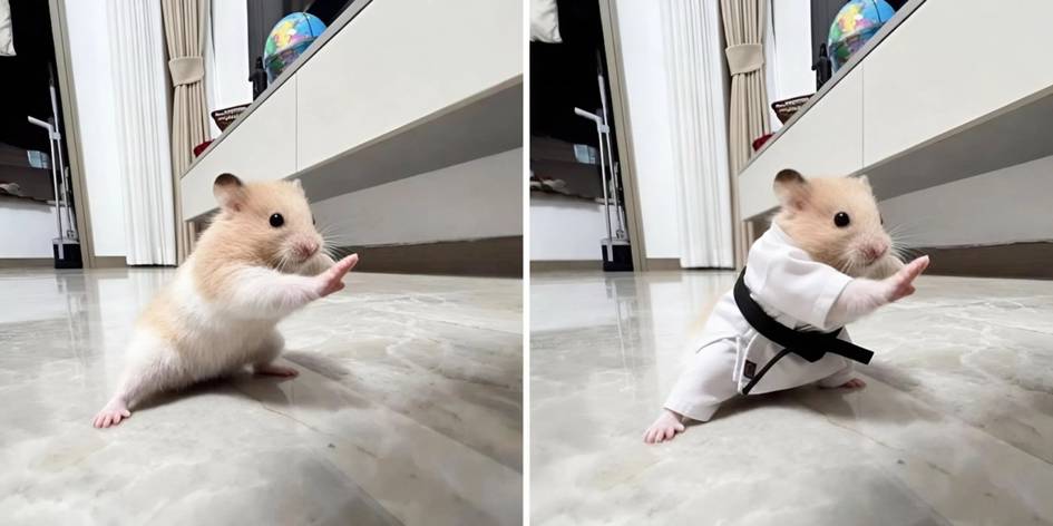 Internetda kimono kiygan og‘maxon surati memga aylandi (foto)