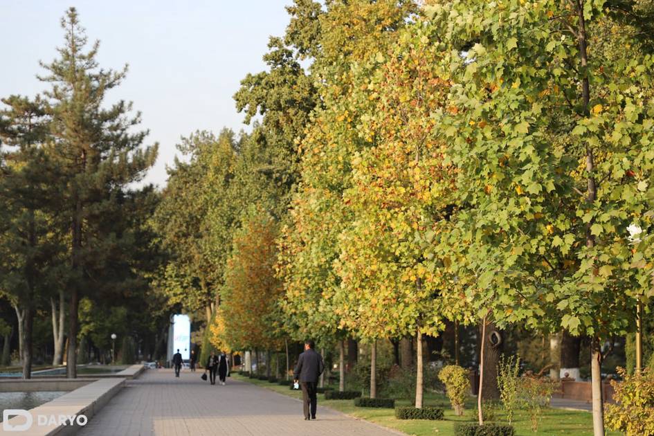 Тошкентда салқин микроиқлим яратиш режалаштирилмоқда