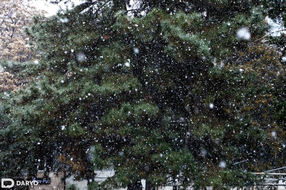 “O‘zgidromet” 19-dekabrda qaysi hududlarda qor yog‘ishini e’lon qildi