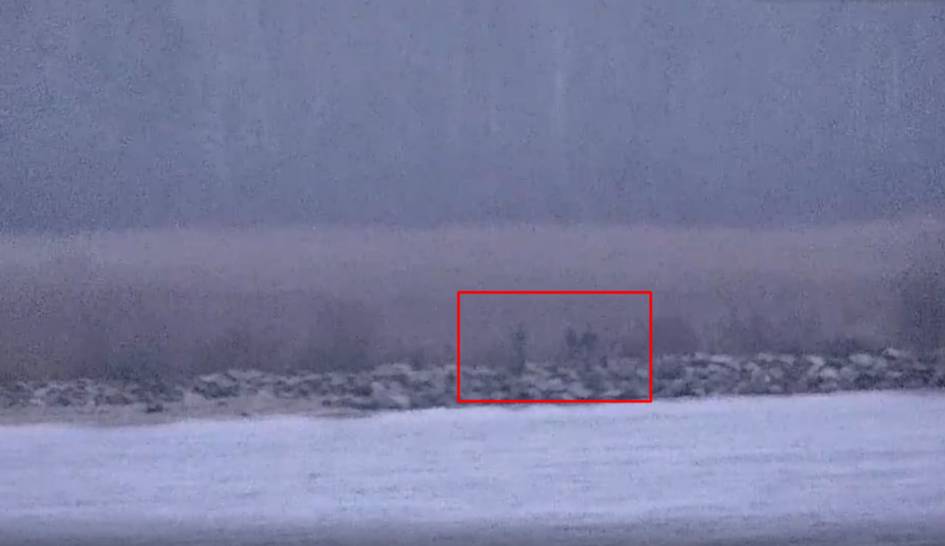 Rossiya chegarachilari Estoniya hududiga kirdi (video)