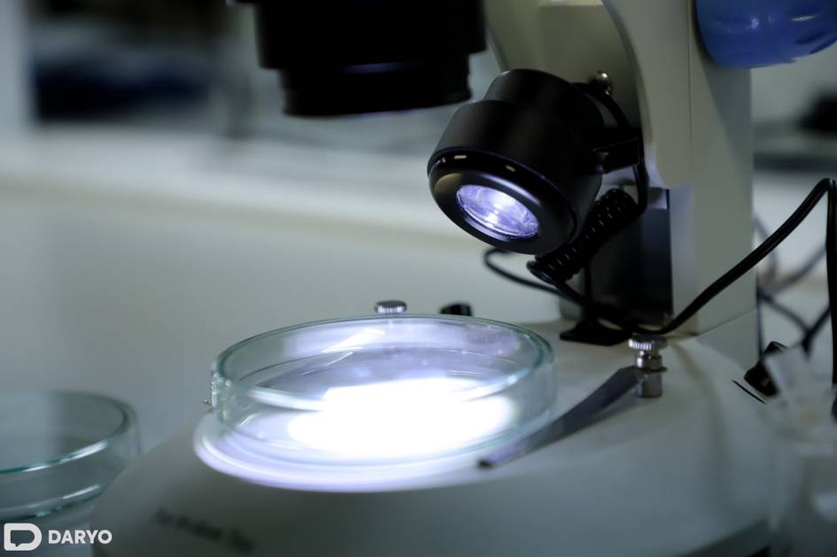 O‘zbekiston Milliy universiteti huzurida Nazariy fizika instituti tashkil etiladi