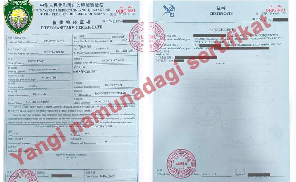 Xitoydan olib kelinayotgan mahsulotlar chegarada ushlab qolinayotganiga rasmiy izoh berildi