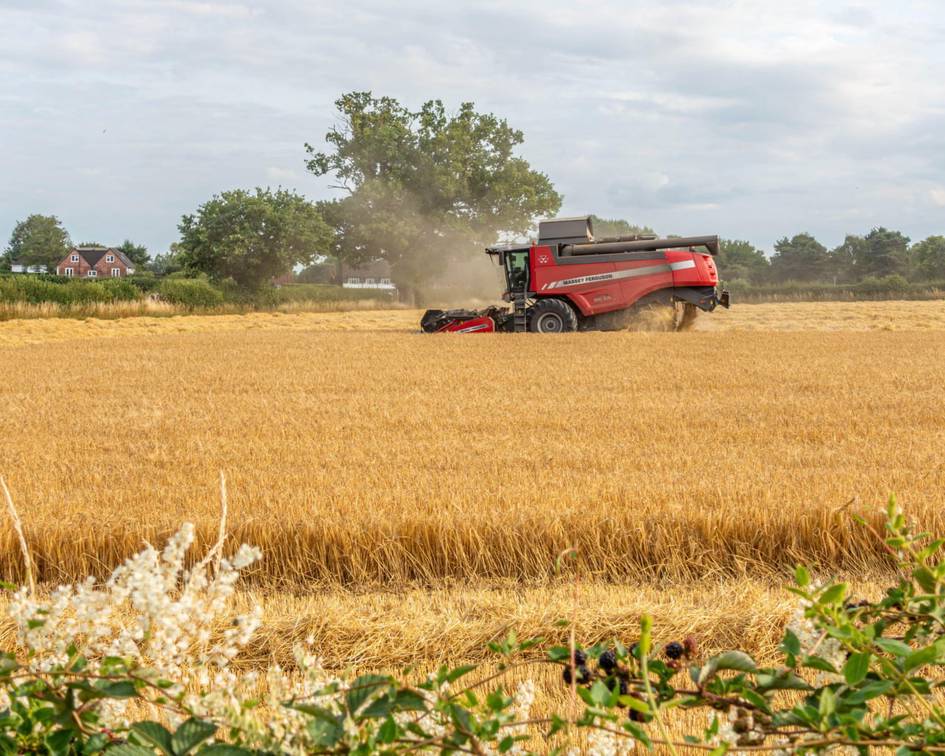 Karbonat angidrid sabab oziq-ovqat tarkibida zaharli qo‘rg‘oshin ortib bormoqda — tadqiqot