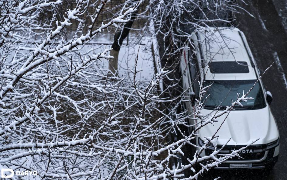 “Ўзгидромет” 23 декабрда қандай об-ҳаво бўлишини маълум қилди