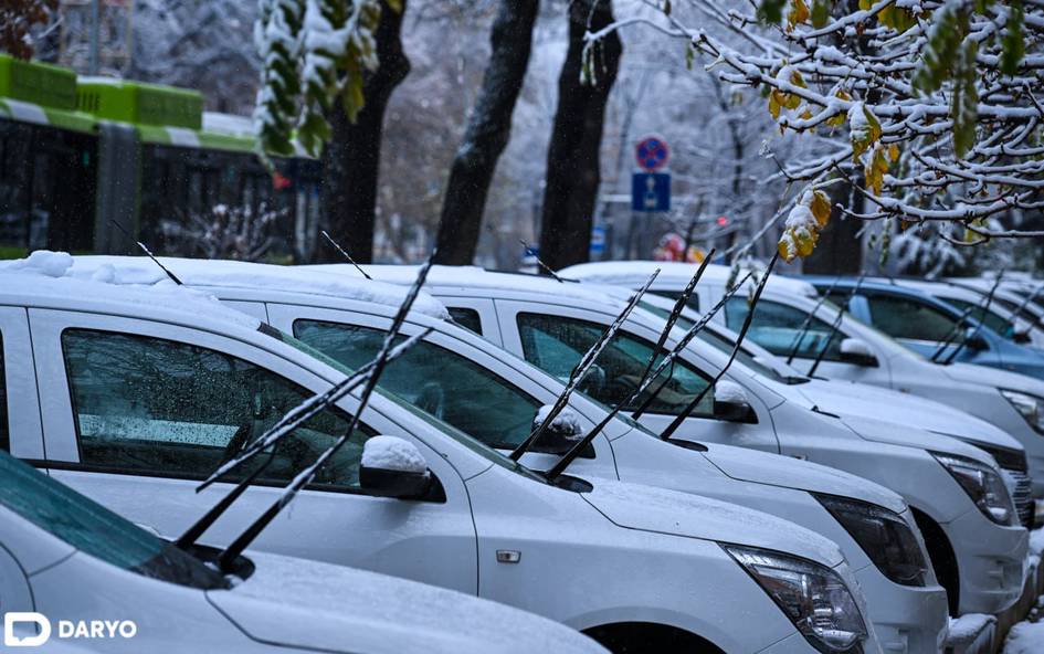 На этой неделе в Узбекистане ожидается потепление до 10 градусов