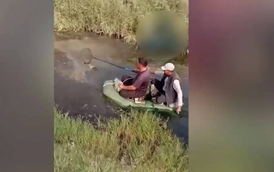 Sirdaryo havzasidagi ekoreydlarda tabiatga 52 mlrd so‘m zarar yetkazilgani aniqlandi