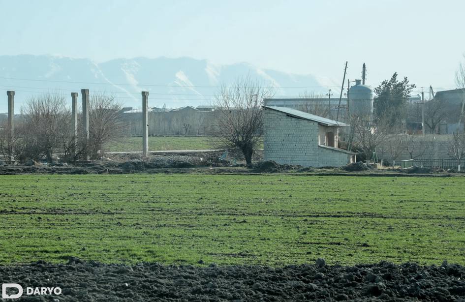 Ўзбекистонда стратегик инвесторларга лойиҳа учун ерлар бозор қийматида тўғридан-тўғри берилади