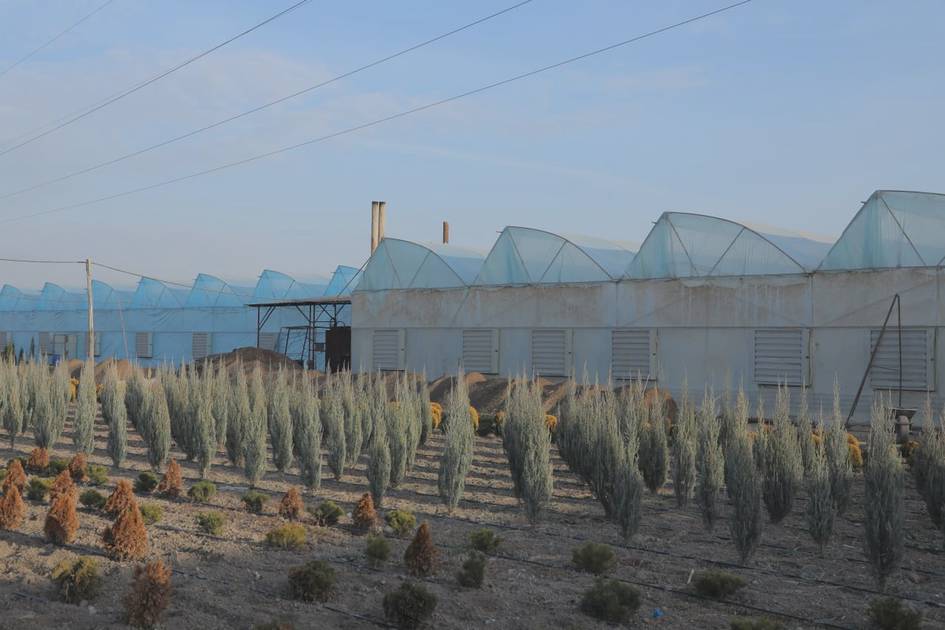 Uzbekistan to close and relocate unfiltered coal-fired greenhouses in Tashkent