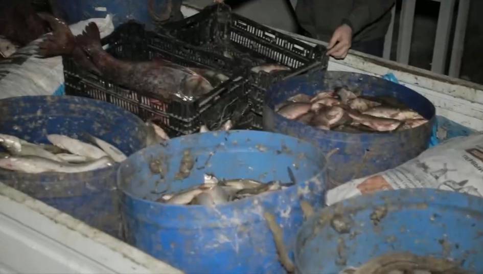 Браконьеры, незаконно выловывшие рыбу в Навои, причинили природе ущерб на 680 млн сумов