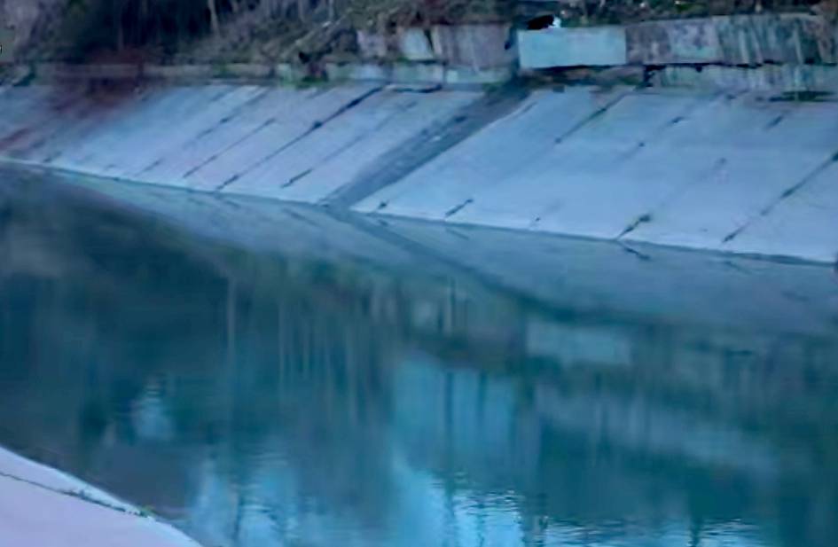 Sirdaryoda avtomobil kanalga tushib ketishi oqibatida 4 kishi halok bo‘ldi