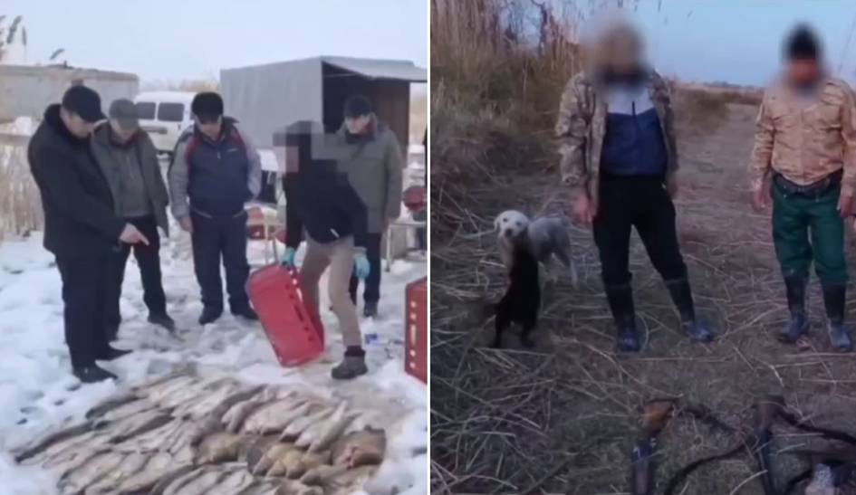 Sirdaryoda noqonuniy baliq ovlash bilan bogʻliq holatlarda tabiatga 1,6 mlrd soʻm zarar yetkazildi