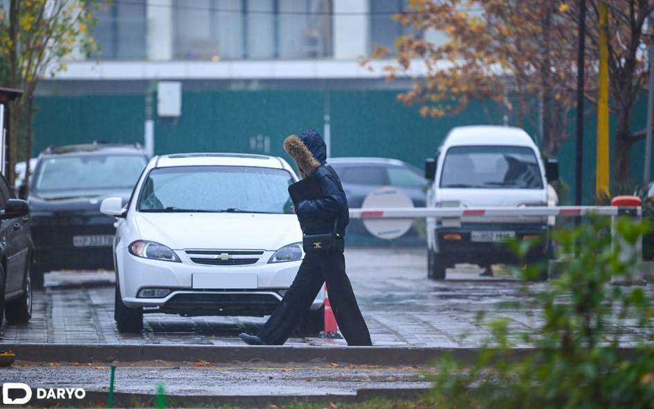 Ўзбекистонда талабалар учун контракт тўлаш муддати узайтирилди