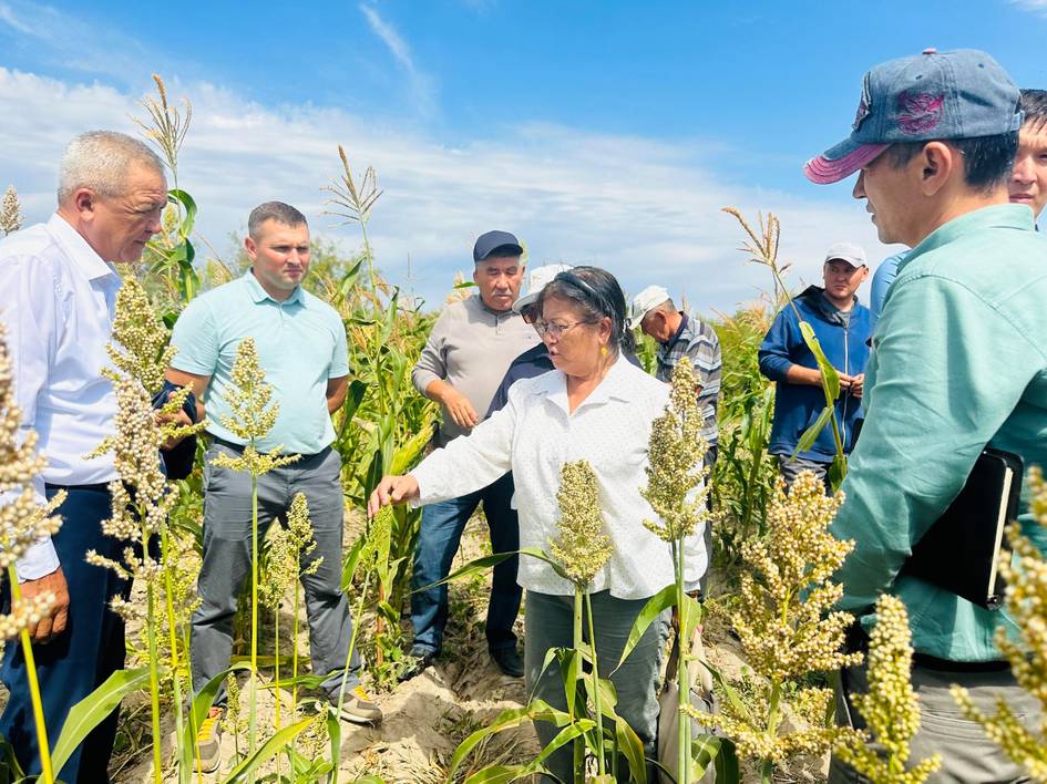 UNDP and Uzbek experts launch international roundtable on soil restoration in Aral Sea region