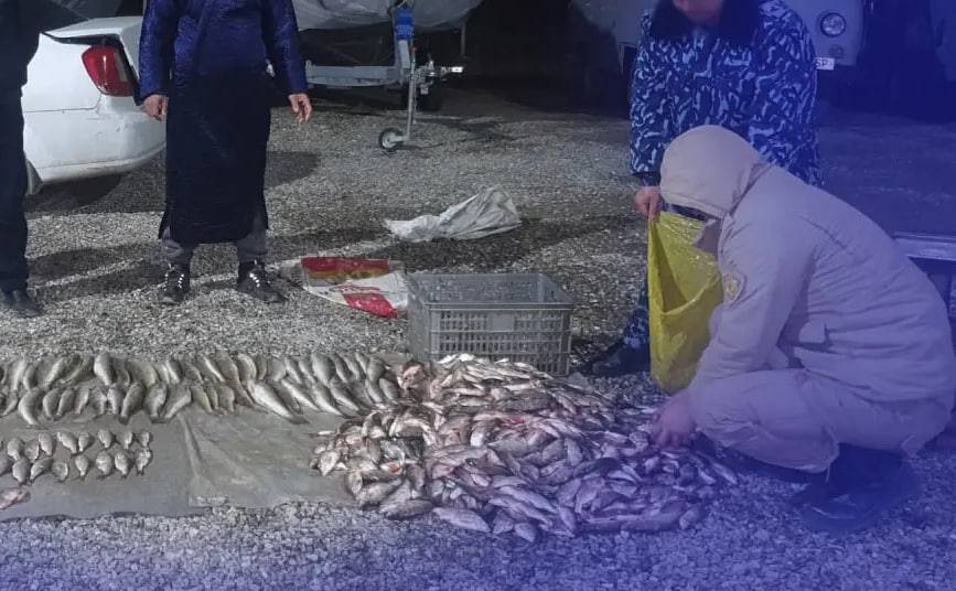 Jizzaxda tabiatga 387 mln soʻm zarar yetkazgan brakonyerlar qoʻlga olindi