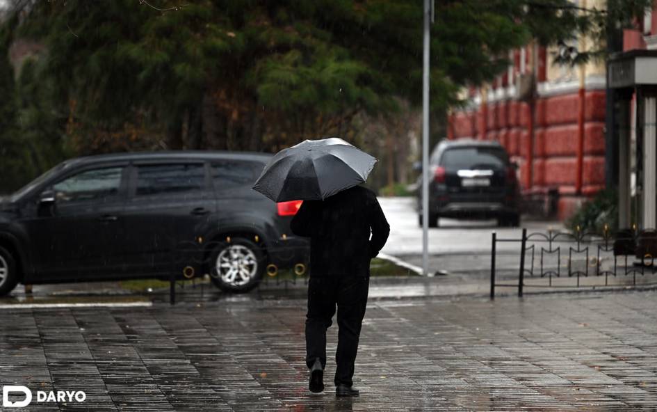 Ҳафта бошида Ўзбекистоннинг айрим ҳудудларида ёмғир ёғади