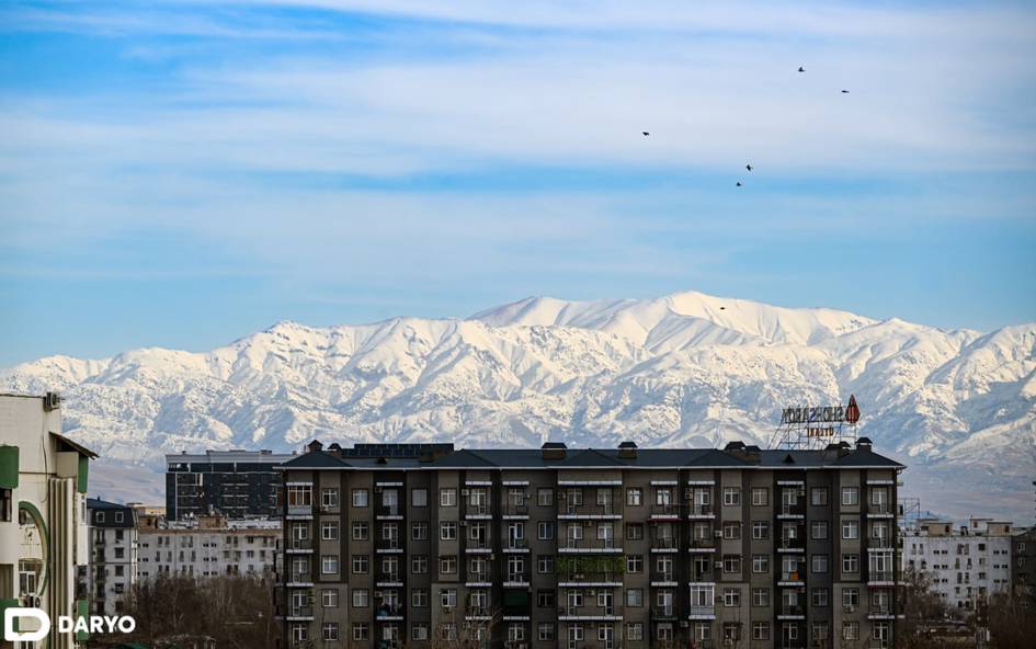 O‘zbekistonda 13-yanvar kuni 20 darajagacha iliq bo‘lishi kutilmoqda