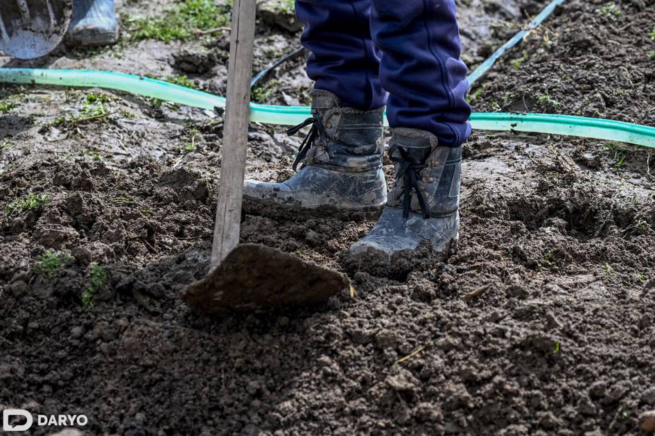 Xovos tumanida fermerlar yerlari noqonuniy olib qo‘yilayotgani haqidagi xabarlar rad qilindi