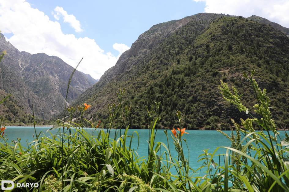 O‘zbekistonda yana ayrim o‘simlik va hayvonot turlari Qizil kitobga kiritiladi