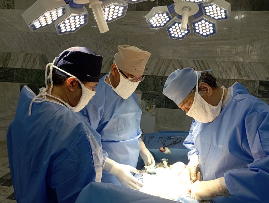 Qashqadaryoda 20 yoshli bemorning oshqozonidan 1,4 kilo soch olib tashlandi