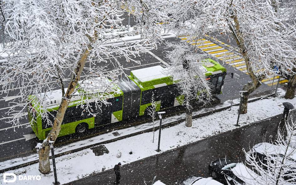 Ўзбекистонда 29 январь куни ҳам қор ёғиши кутилмоқда