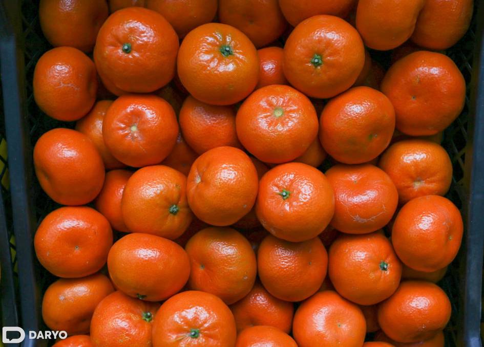 В Узбекистане временно запретили ввоз мандаринов и ананасов из Китая