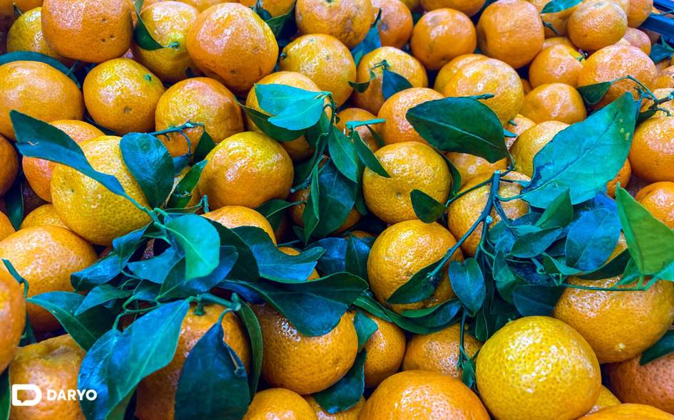 O‘zbekistonga Xitoydan mandarin va ananas olib kirishga 5-fevralgacha ruxsat berildi