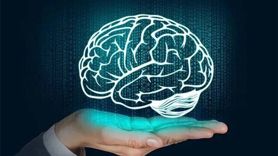 Uzbekistan leads Central Asia, ranks 75th in international IQ test 2026