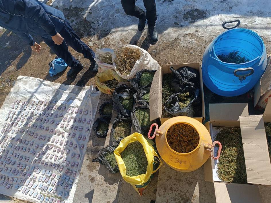 Qashqadaryoda aka-ukaning uylaridan 22 kiloga yaqin marixuana topildi