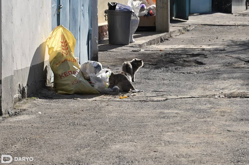 Чиқинди ташиш бўйича фуқароларга асоссиз равишда қарзлар ҳисобланган — Рақобат қўмитаси