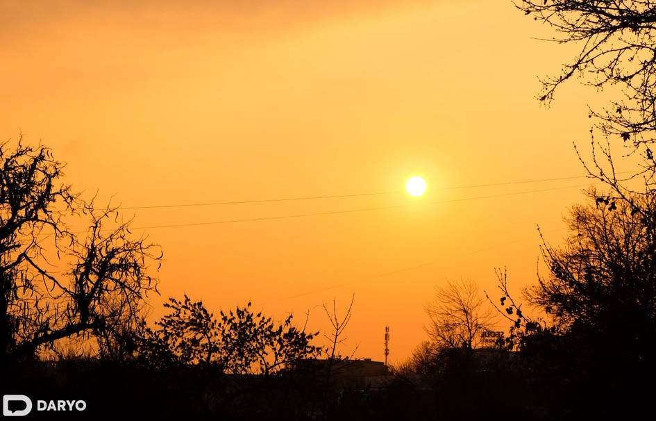 Ўзбекистонда 18 февраль куни ҳарорат 25 даражагача кўтарилади
