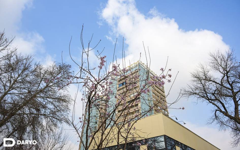 O‘zbekistonda 20-fevral kuni harorat nisbatan pasayadi