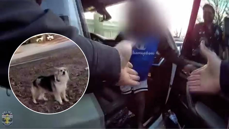 AQSHda daydi it yo‘qolgan uch yoshli bolani topishda politsiyachilarga yordam berdi