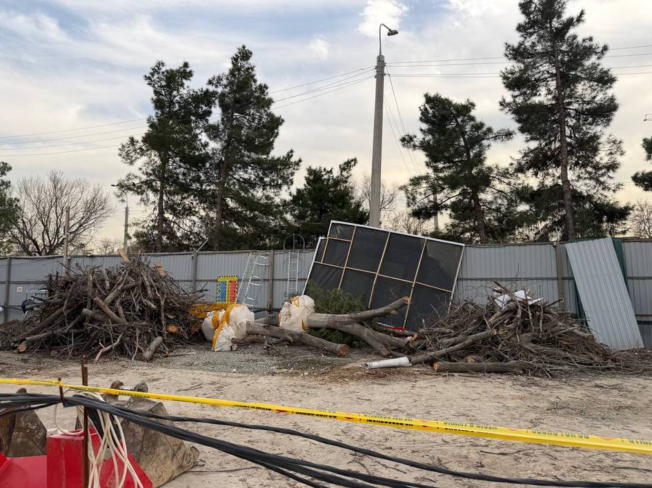 Toshkentda 12 tup daraxt qo‘porilgani oqibatida tabiatga 351 mln so‘mdan ortiq zarar yetkazildi