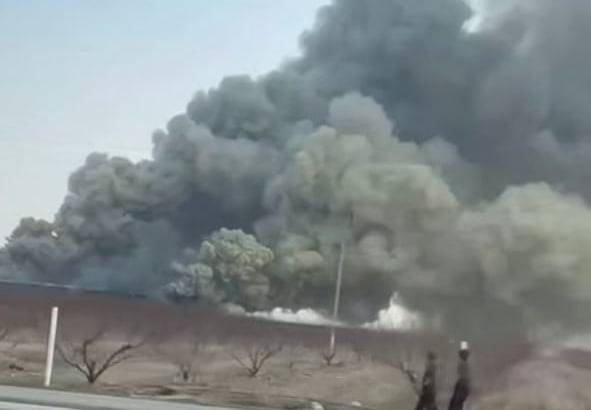 Farg‘onada daraxt ko‘chatlarini saqlash omborida yong‘in chiqdi