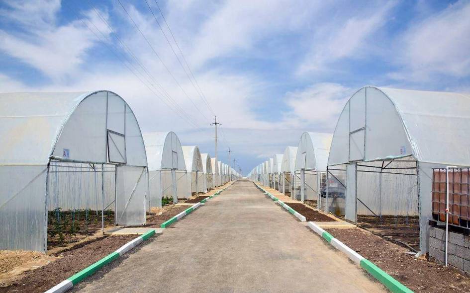 Toshkent viloyatida filtrlari yaxshi ishlamayotgan issiqxona faoliyati toʻxtatildi