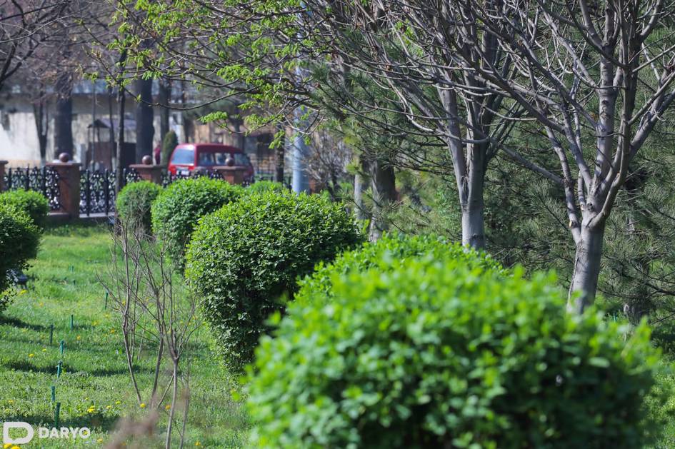 В Ташкенте и на прилегающих территориях в три раза увеличат площадь зеленых зон