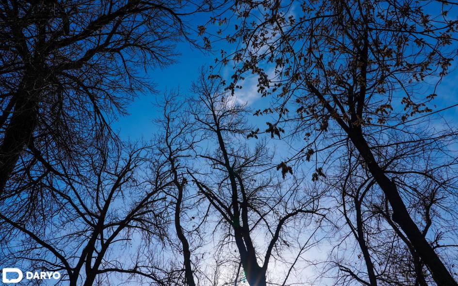 “Ўзгидромет” 27 февралда қандай об-ҳаво бўлишини эълон қилди