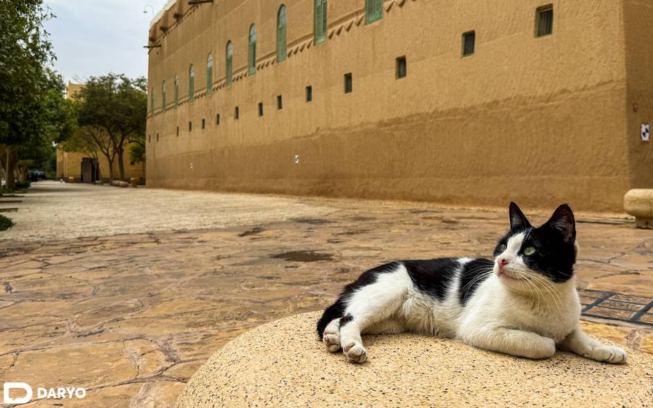 “Саудия асосчисининг лой қасри” — қироллик юраги ҳисобланган саройдан фоторепортаж