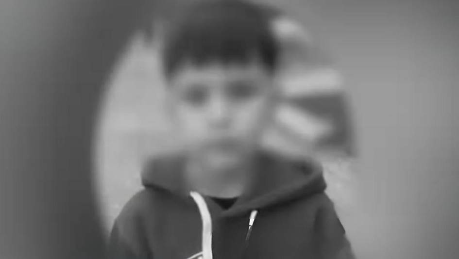 В Ангрене 8-летний мальчик погиб после нападения бродячих собак