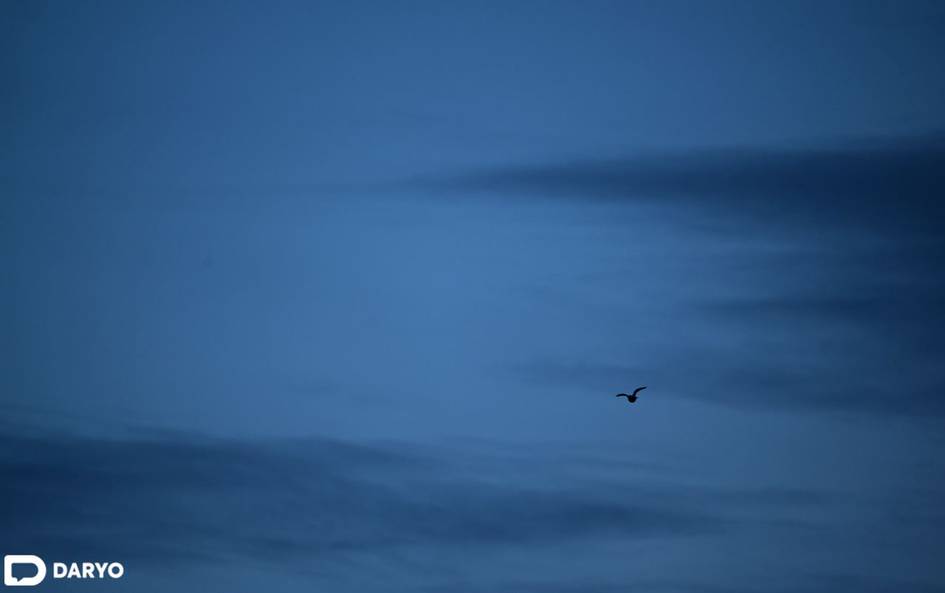 В Узбекистане ожидается ухудшение качества воздуха из-за температурной инверсии