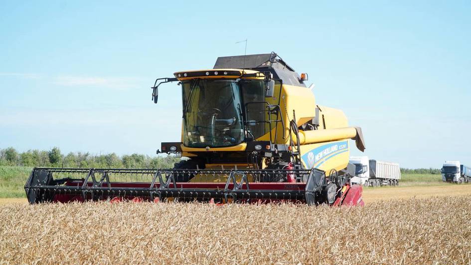 Kazakhstan processes over 5mn tons of grain annually as agriculture value tops $11bn