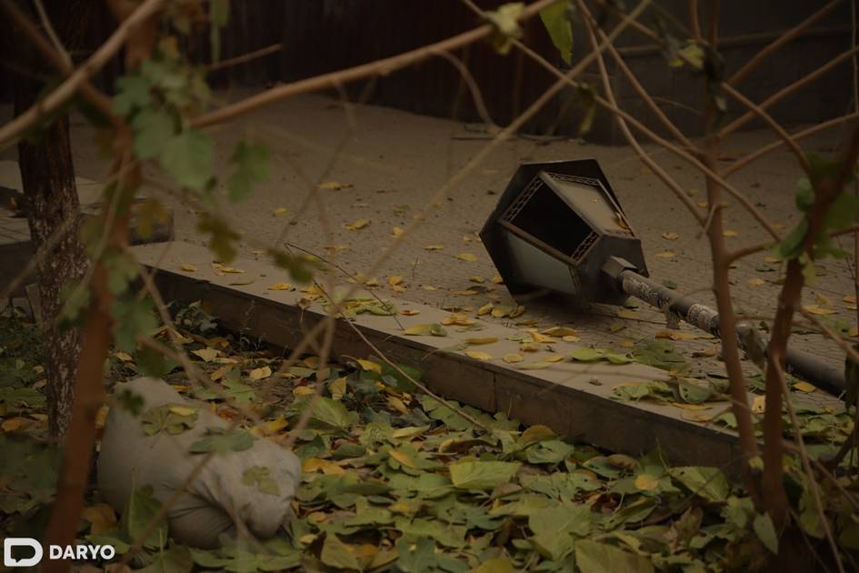 Жителей Ташкента призвали соблюдать меры безопасности в связи с сильным ветром