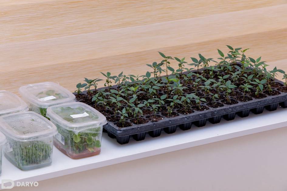 Узбекистан планирует увеличить экспорт химпрома до $720 млн