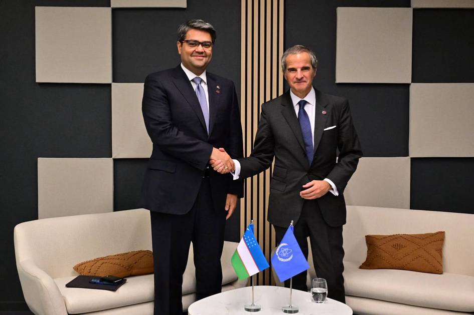 МАГАТЭ посетит Узбекистан, чтобы оценить работу по проекту строительства АЭС