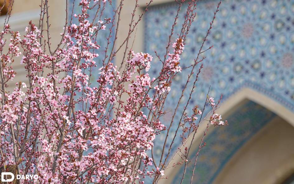 Ўзбекистонда дам олиш кунлари ҳаво ҳарорати яна кўтарилади