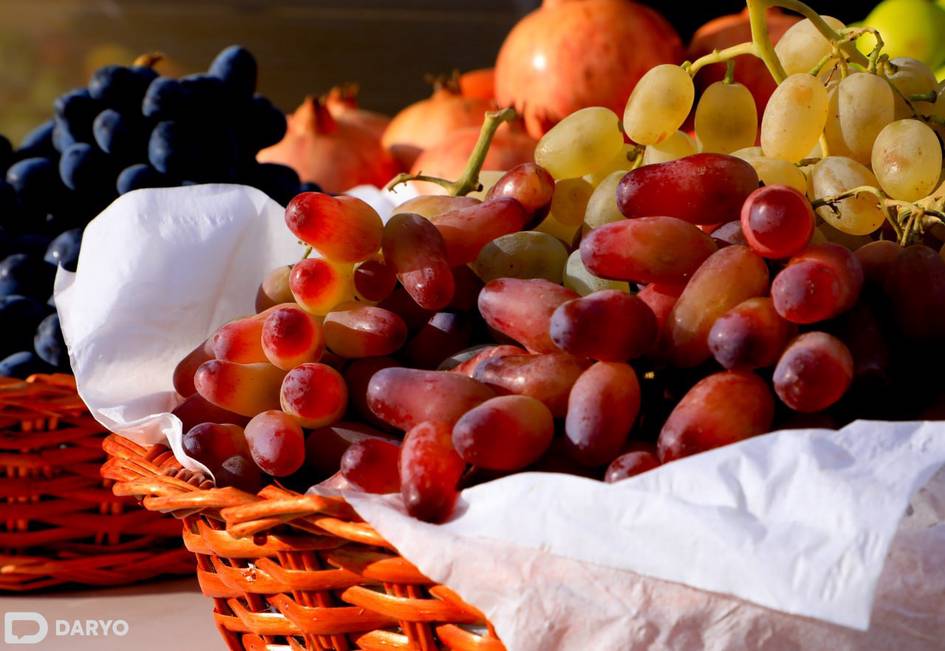 Yanvarda Oʻzbekiston salkam 100 mln dollarlik meva-sabzavot eksport qildi